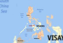 PDRRMC recommends placing Capiz under state of calamity due to ASF