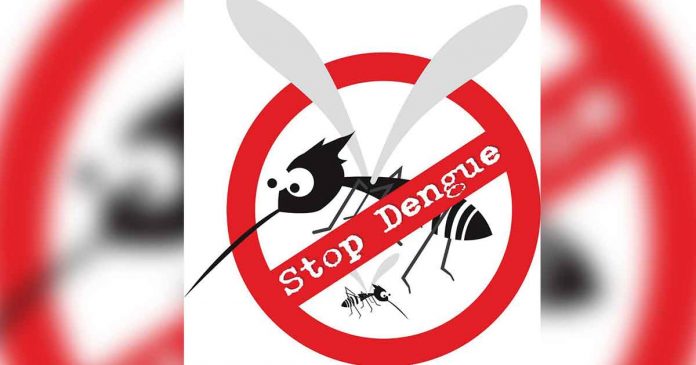 dengue