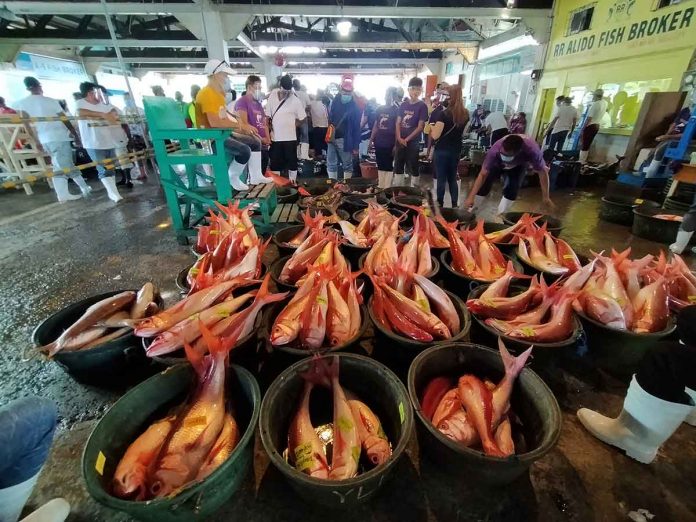 Western Visayas enjoys a 114 percent fish sufficiency rate, according to the Bureau of Fisheries and Aquatic Resources Region 6. Photo shows the goings-on at the Fish Port Complex in Iloilo City. PN PHOTO