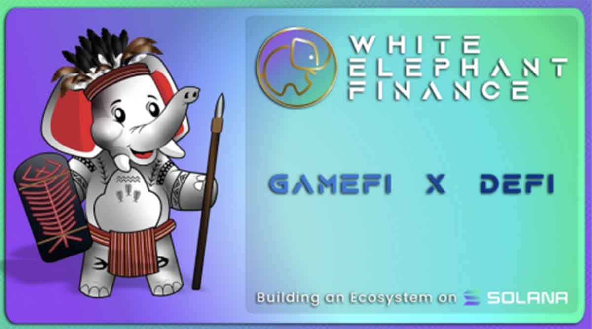 White Elephant Finance gearing up for the next generation