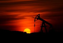 US oil seen at 2.2M barrel per day in 2023 if oil prices hit $100 Photo by Zbynek Burival on Unsplash