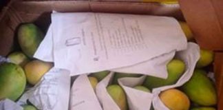 POAS apprehended 150 kgs fresh mangoes in Buenavista wharf. Photos from POAS Guimaras Facebook page