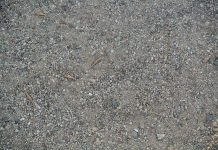Truck with sand, gravel impounded Photo for representation only. All Free Download