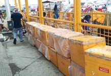 These boxes of frozen meat products from areas hit by the African Swine Fever were intercepted at the port in Dumangas, Iloilo. PVO PHOTO