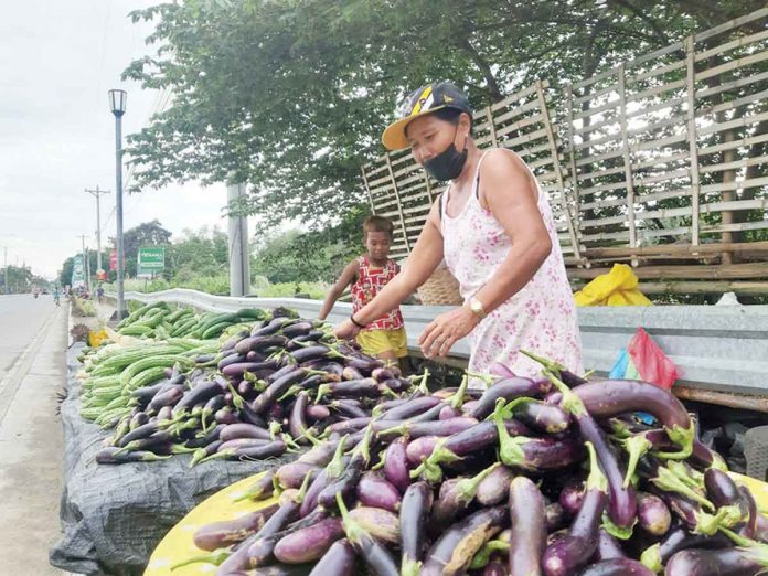vegetable-farmer Iloilo vegetable farmer, trying to sell eggplants (talong), bitter gourd (Ampalaya), radish, and string beans along national hi-way.