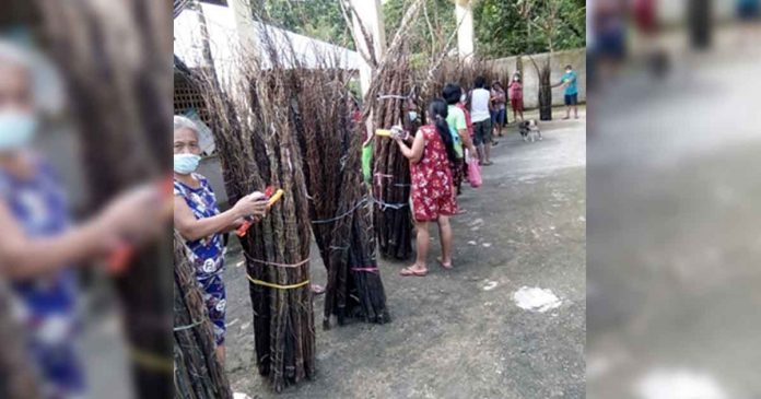 aklan-nito-vines These bundles of nito vines in Barangay Napatag, Tangalan, Aklan will be woven by parents of child laborers into nito handicrafts that are popular souvenir items for local and foreign tourists. DOLOE-6 PHOTO