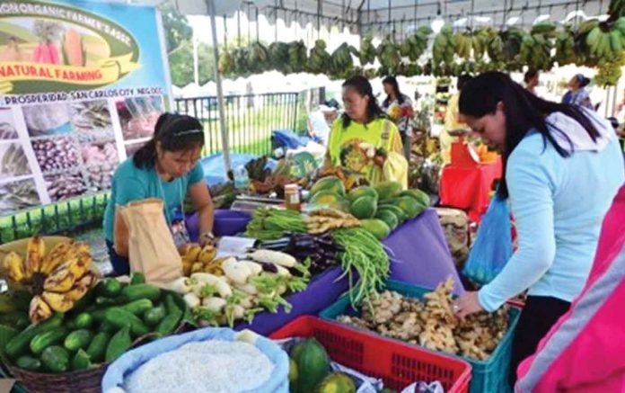 In Negros Occidental, there are at least 17,000 organic practitioners with about 16,000 hectares devoted to organic farming. Demand for organic products is growing because of their benefits to health but supply remains low. PNA FILE PHOTO