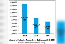 Guimaras suffers from 2-year slump in fish yield