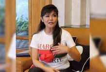 The Panay-Guimaras-Negros bridge project is in the advanced stage of planning, says Sen. Imee Marcos.