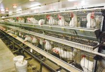 The Department of Agriculture has temporarily barred the entry of poultry products from five states in the United States such as Missouri, South Dakota, North Dakota, Minnesota, and Iowa after recording numerous bird flu outbreaks there.
