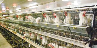 The Department of Agriculture has temporarily barred the entry of poultry products from five states in the United States such as Missouri, South Dakota, North Dakota, Minnesota, and Iowa after recording numerous bird flu outbreaks there.