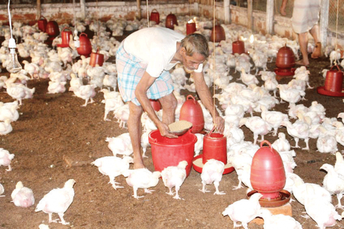 biz2 Negros Occidental is ensuring the safety of its poultry industry and the protection of the general public from the highly pathogenic avian influenza.