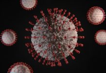 Region 6 COVID-19 active cases breach 3K mark; death toll now over 6K Photo by Viktor Forgacs on Unsplash