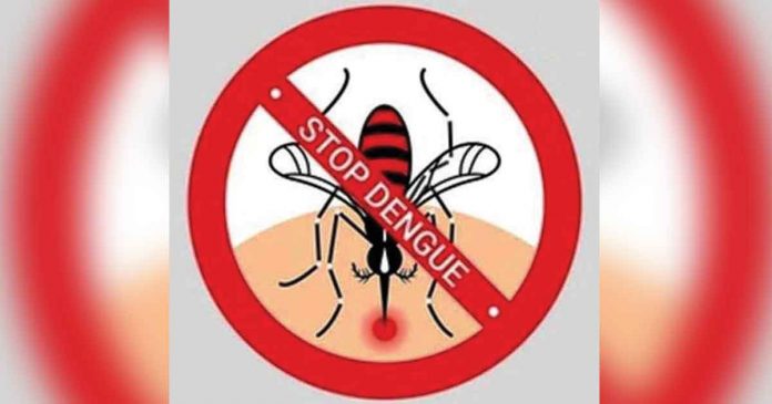 dengue