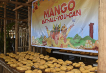 PHOTOS FROM GUIMARAS MANGGAHAN FESTIVAL FACEBOOK