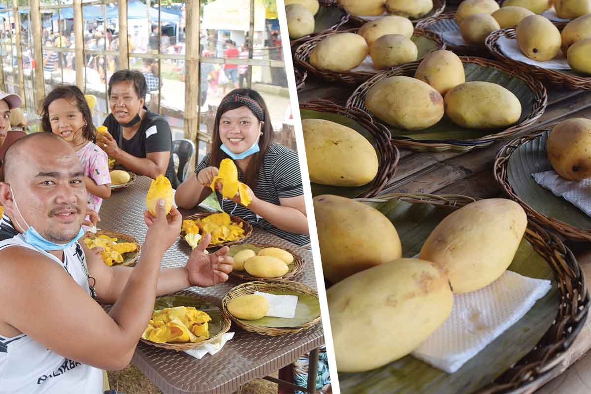 8 tons of mango consumed during Manggahan’s ‘eatallyoucan’ event