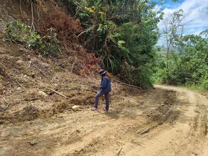 ASSESSMENT. A geologist from the Mines and Geosciences Bureau (MGB) in Western Visayas conducts a rapid geohazard assessment on landslide-affected areas in the municipality of San Dionisio, Iloilo due to Tropical Depression “Agaton”. MGB has recommended the updating of geohazard maps to include new areas affected by the landslide. PHOTO COURTESY OF MGB VI FACEBOOK PAGE