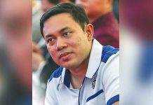 Mark Villar consistently tops senatorial survey VILLAR