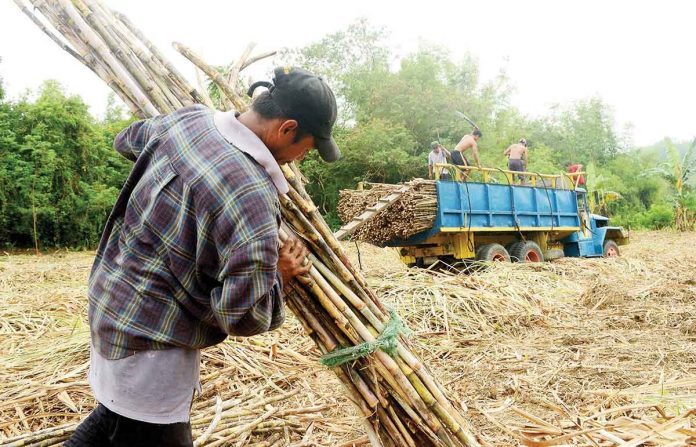 wage-hike For those in the agricultural sector in Western Visayas, the minimum wage beginning June 5 will be P410 from P315. Photo shows plantation workers in Maasin, Iloilo hauling sugarcanes to a truck for transport to a sugar central. PN PHOTO