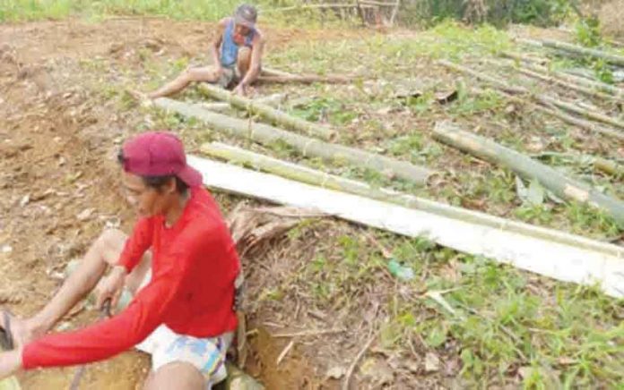 biz1 Members of a farmers’ association prepare for the launch of their sow-level swine multiplier and techno-demo farm project in Bingawan, Iloilo. The project to be launched on June 27 is a grant from the Agricultural Training Institute as part of the Department of Agriculture’s recovery and repopulation plan for the swine industry. PHOTO COURTESY OF CONCEPCION CARILLO