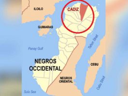 Carpenter killed in stabbing during drinking session in Cadiz