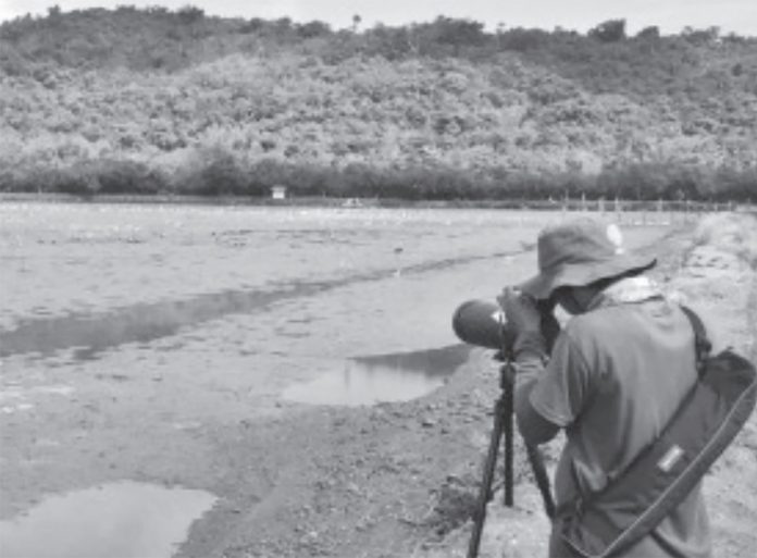 A Department of Environment and Natural Resources personnel in Capiz monitors a wetland for migratory birds during the conduct of the Asian Waterbird Census. CENRO - MAMBUSAO