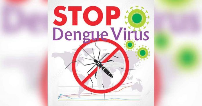 dengue