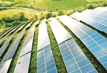 Measures underway to boost RE transmission capacity Business tycoon Enrique Razon Jr. is deepening his investments in renewable energy. He plans to build the world’s largest solar facility in the Philippines. Photovoltaic panels will capture energy from the sun. PHOTO CREDIT: FORBES.COM/GETTY