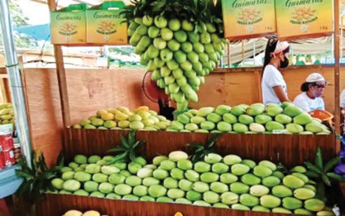 mango Mangos are on display at the recent Manggahan Festival Agri-Trade Fair in Guimaras. PNA