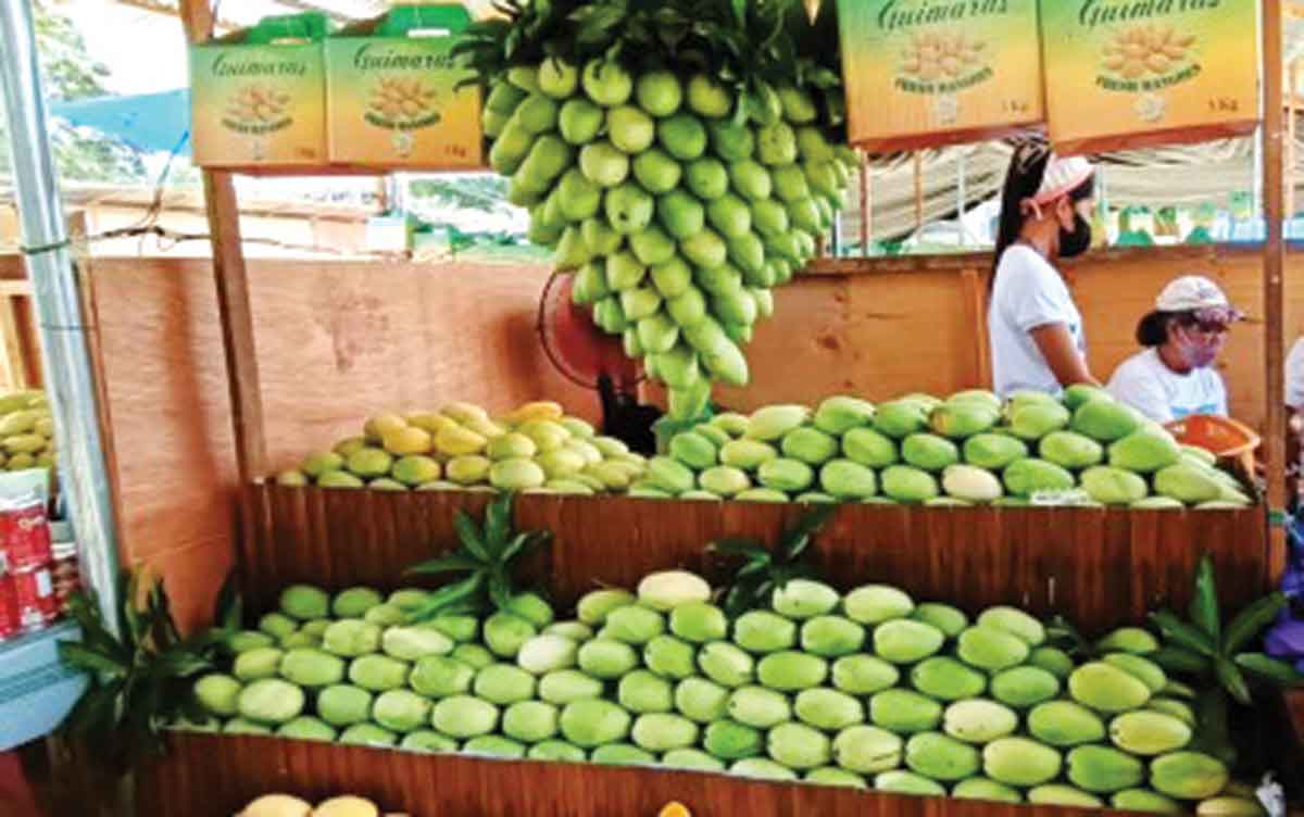 France assists Guimaras prepare mango for EU