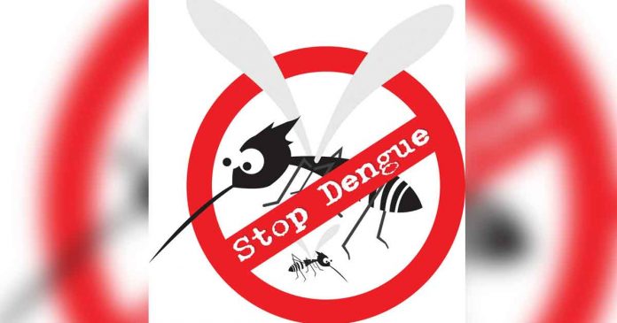 stop-dengue