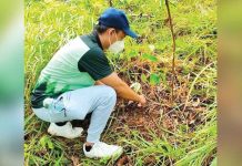 The municipality of Malay, Aklan which has jurisdiction over Boracay Island is promoting responsible and sustainable tourism through tree planting. PHOTO BY MENRO MALAY