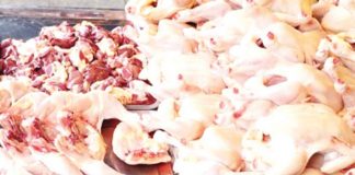 According to the National Meat Inspection Service, Negros Occidental produces 1.6 million heads of chicken a month. PNA