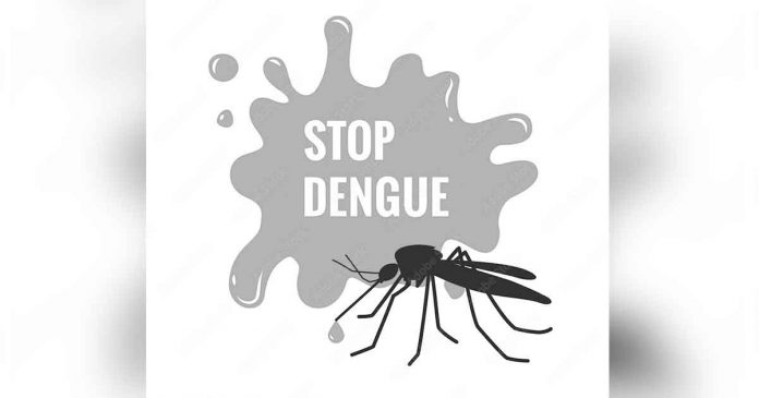 dengue