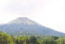 Kanlaon, part of the Negros Volcanic Belt, is a large stratovolcano. It straddles the border shared by Negros Occidental and Negros Oriental. At 2,465 meters above sea level, it is the highest point in Negros Island and in the Visayas. PHOTO BY THE PHILIPPINE BIODIVERSITY CONSERVATION FOUNDATION, INC.