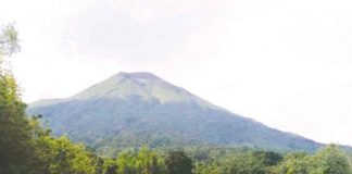 Kanlaon, part of the Negros Volcanic Belt, is a large stratovolcano. It straddles the border shared by Negros Occidental and Negros Oriental. At 2,465 meters above sea level, it is the highest point in Negros Island and in the Visayas. PHOTO BY THE PHILIPPINE BIODIVERSITY CONSERVATION FOUNDATION, INC.
