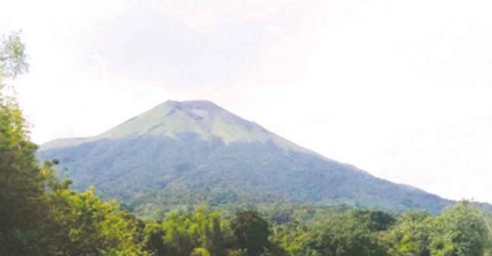news-dom-volcano Kanlaon, part of the Negros Volcanic Belt, is a large stratovolcano. It straddles the border shared by Negros Occidental and Negros Oriental. At 2,465 meters above sea level, it is the highest point in Negros Island and in the Visayas. PHOTO BY THE PHILIPPINE BIODIVERSITY CONSERVATION FOUNDATION, INC.