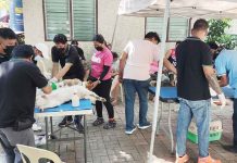 Iloilo to provide free spaying and castration for 1.6K pet dogs, cats The Office of the City Veterinarian of Iloilo City conducts castration or neutering of male pets and spaying of female pets to control their population or prevent overpopulation. ILOILO CITY PIO PHOTO