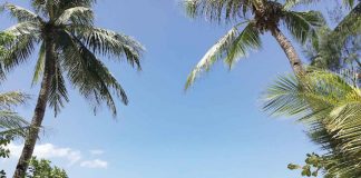 Boracay Island is under the jurisdiction of the local government of Malay, Aklan. However, there is now a proposal in Congress creating a new government body that will oversee the island.