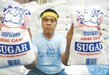 By October when the country’s sugar supply is depleted, the government may import 150,000 metric tons of sugar. PHOTO FROM THEPHILBIZNEWS
