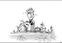 Editorial Cartoon for August 11, 2022.