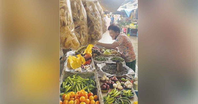 iloilo-city-market Vendors will benefit from a redeveloped world-class and modern Iloilo Central Market and Iloilo Terminal Market. Increased customer traffic in the markets will mean brisk business and more job opportunities for them.