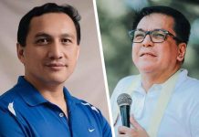 2 Iloilo lawmakers appointed to CA