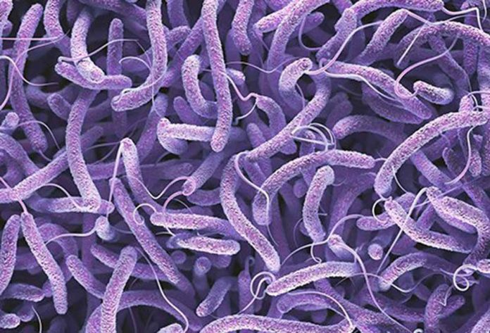 cholera2 Photo courtesy from MedicineNet