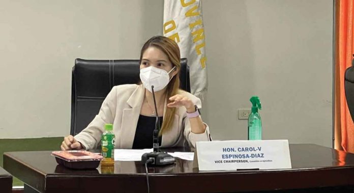 espinosa-diaz Iloilo 5th District Provincial Board member Carol V. Espinosa-Diaz, during the regular session of the Sangguniang Panlalawigan, delivers a privilege speech entitled “Clean our water, save lives”, which aims to thwart the advent of yet another outbreak of acute gastroenteritis and cholera. CAROL V. ESPINOSA-DIAZ/FB