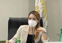 Former Iloilo board member will oversee 5th District projects as guv’s executive aide