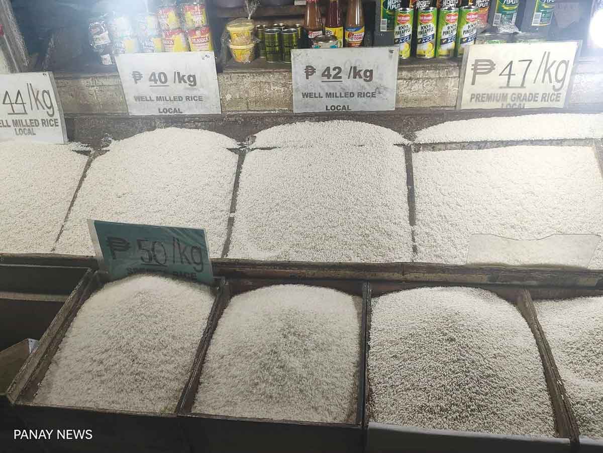 Rice prices may increase by P4/kg or higher farmers group