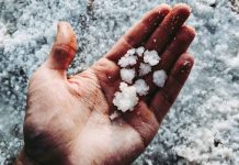 ‘PH can compete with other countries in salt production’ Photo by Pavel Neznanov on Unsplash