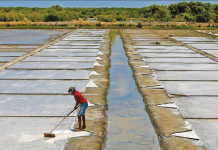 The Antique Provincial Board supports a resolution requesting the Bureau of Fisheries and Aquatic Resources and the Department of Agriculture to revitalize the province’s salt industry. Photo shows a worker harvesting salt from a saltern in Barangay Sta. Isabel in Kawit, Cavite on May 22, 2021. ABS-CBN NEWS