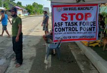The local government of San Miguel, Iloilo has set up an African Swine Fever checkpoint on its boundary shared with the town of Oton. This is in boundary barangay of Abilay Norte, Oton. AJ MARCELLO PALCULLO/PN